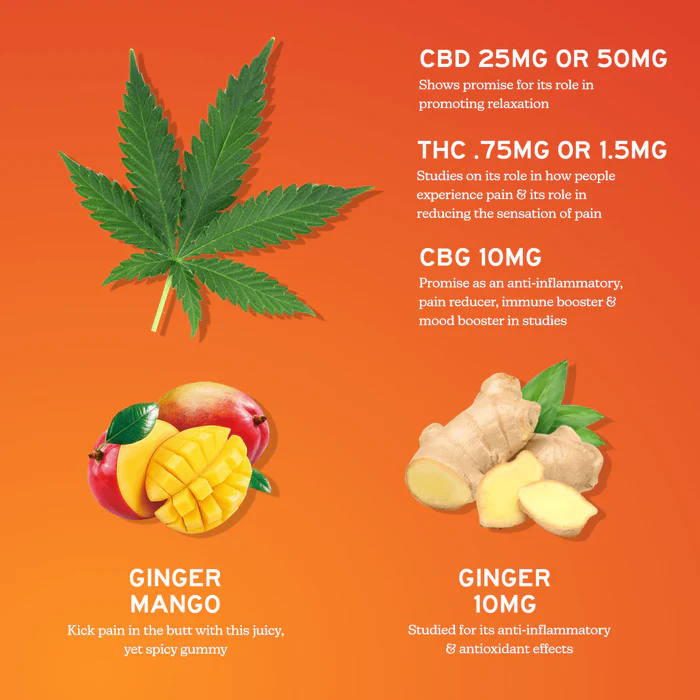 Alchemy Naturals Relief Gummies CBD + CBG + Ginger