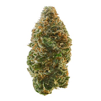 The Hemp Store White Bubblegum Gelato High THCa Flower