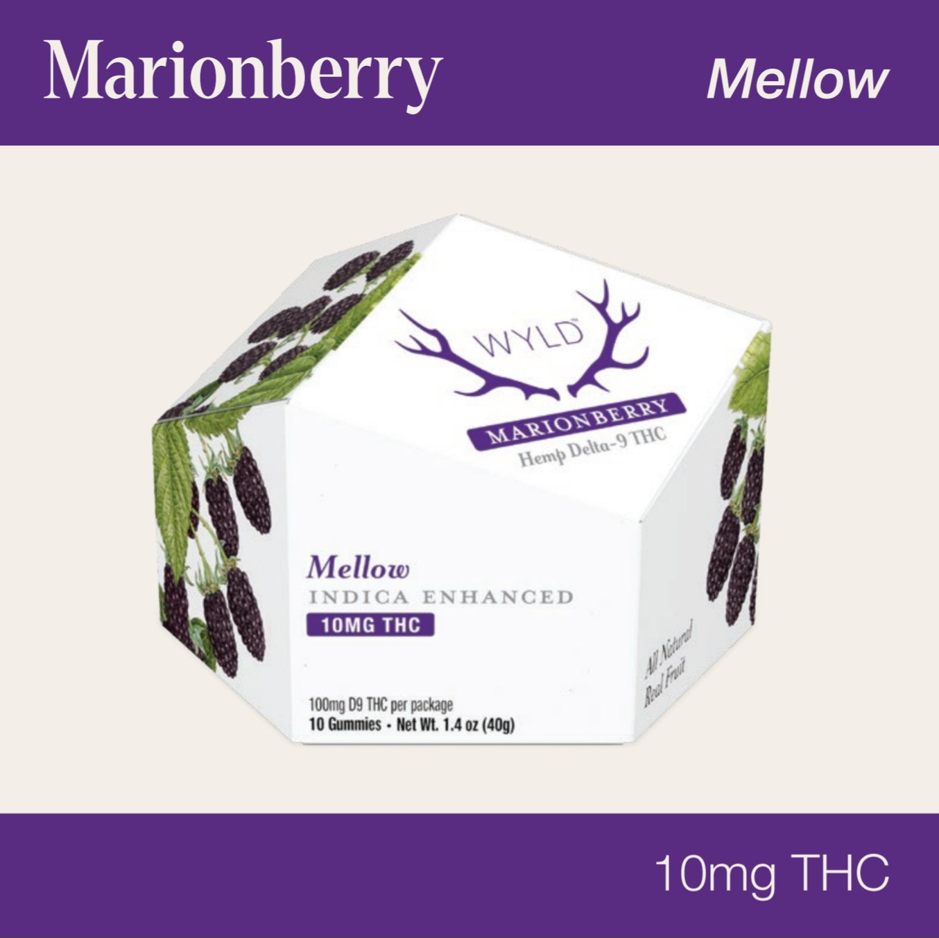 Wyld 10mg Delta 9 THC Indica Marionberry Gummies