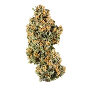 The Hemp Store Pink Champagne THCa Flower