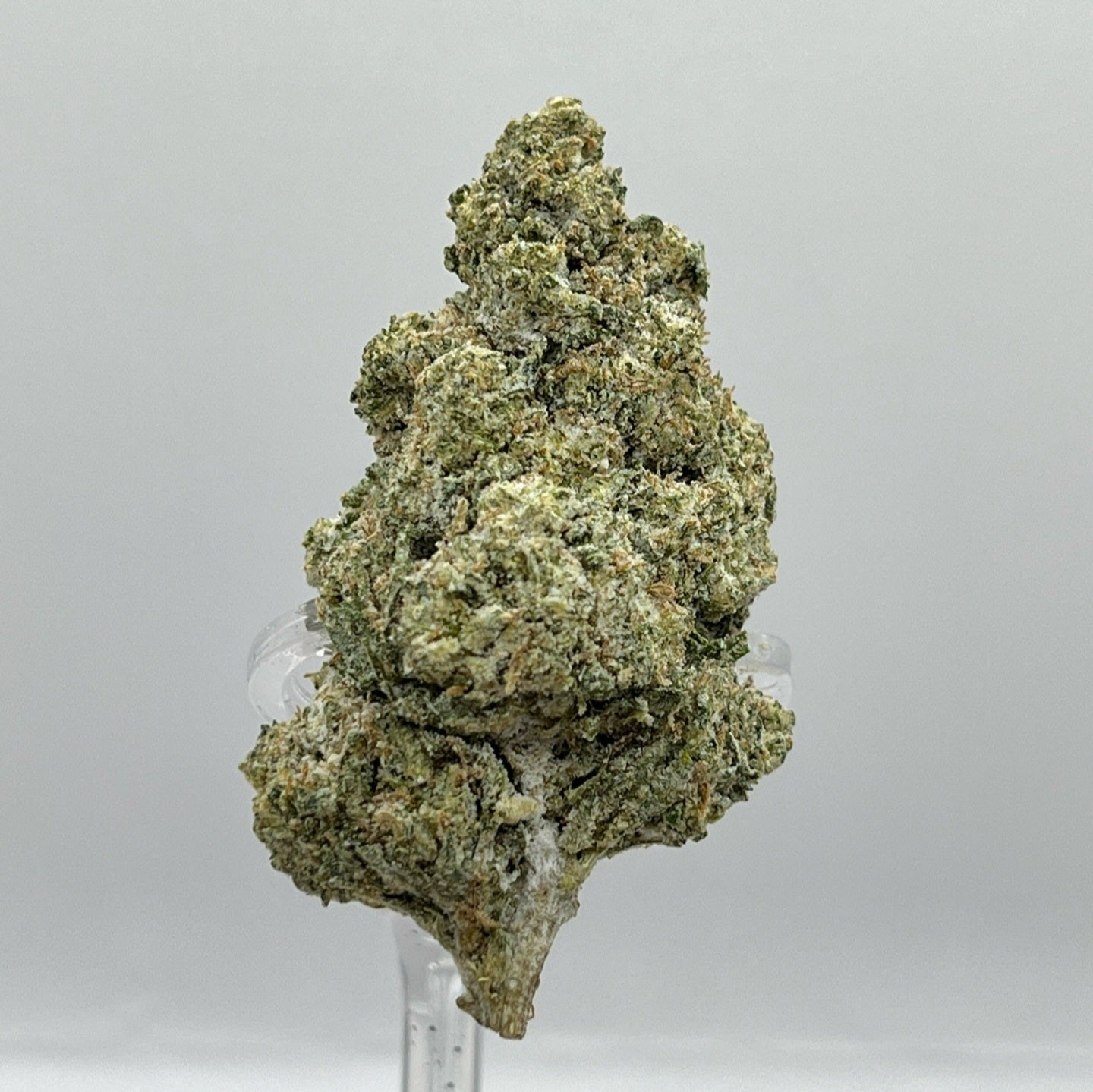 The Hemp Store Mango Dream Platinum THCa Flower