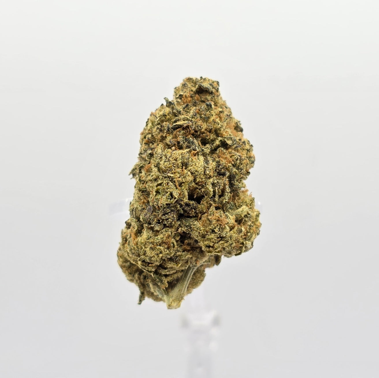 The Hemp Store Strawberry Cough THCa Flower