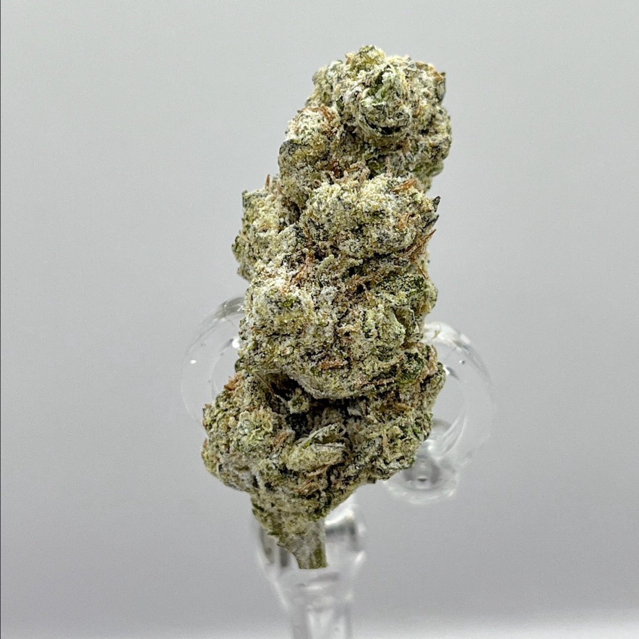 The Hemp Store Watermelon Zkittles Platinum THCa Flower
