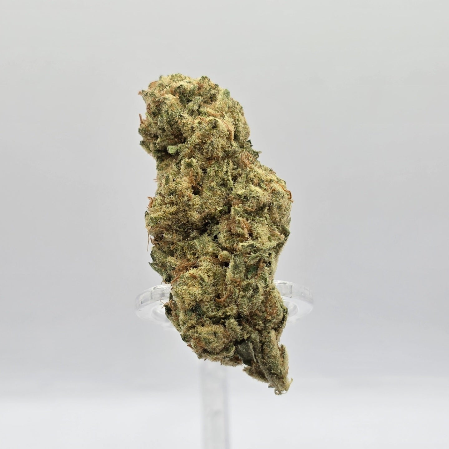 The Hemp Store Purple Punch High THCa Flower