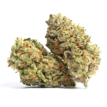 The Hemp Store Tangerine Dream THCa Flower