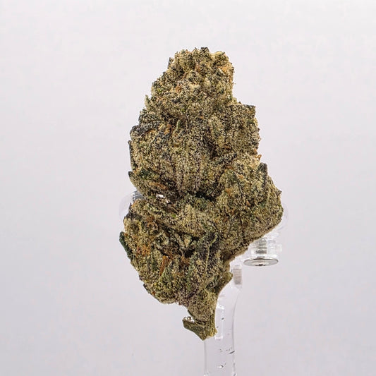 The Hemp Store Raspberry Gas High THCa Flower