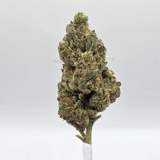 The Hemp Store Pluto High THCa Flower