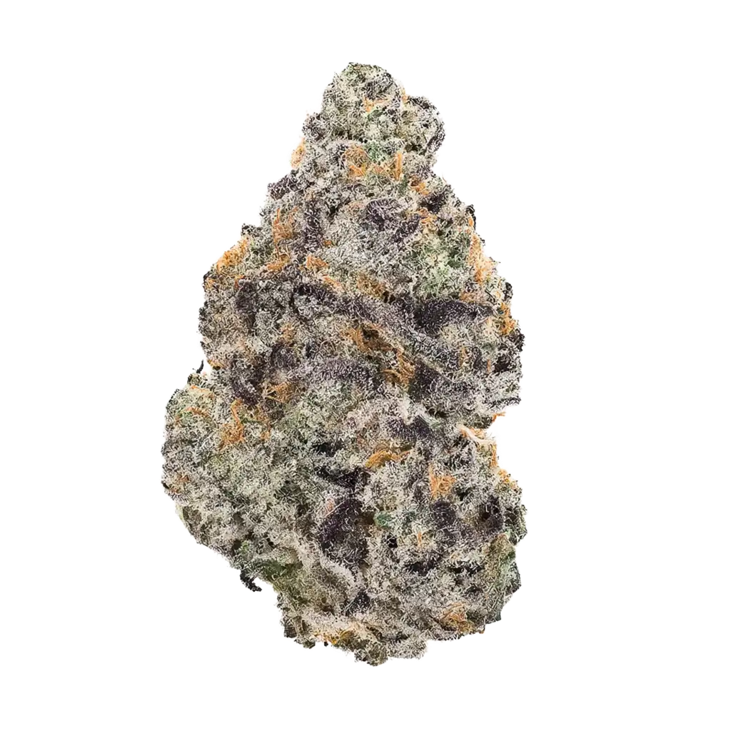 The Hemp Store Blueberry Sugar THCa Flower