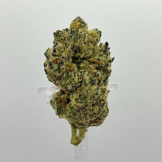 The Hemp Store Pure Michigan High THCa Flower
