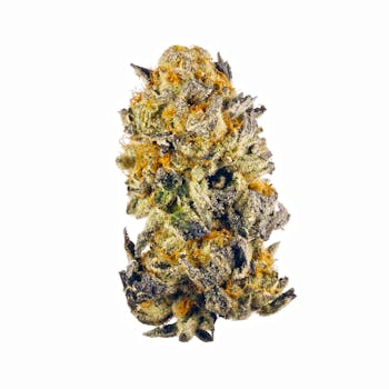 The Hemp Store Electric Kool Aid THCa Flower