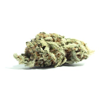 The Hemp Store Pineapple Trainwreck THCa Flower