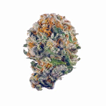 The Hemp Store Rainbow Belts High THCa Flower