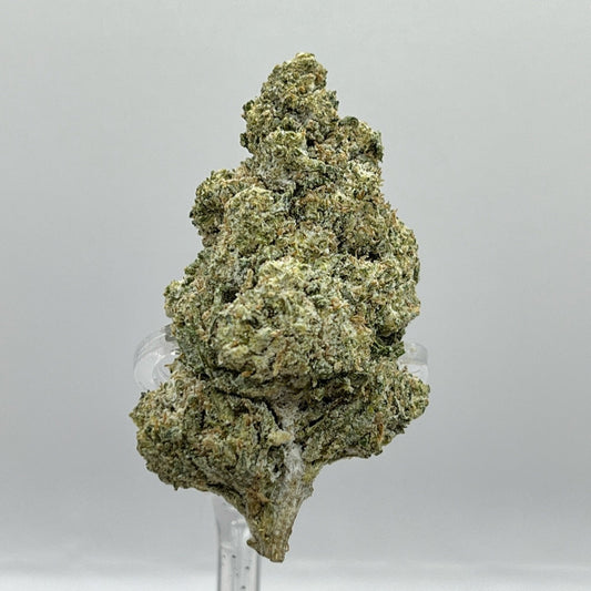 The Hemp Store Mango Dream Platinum THCa Flower