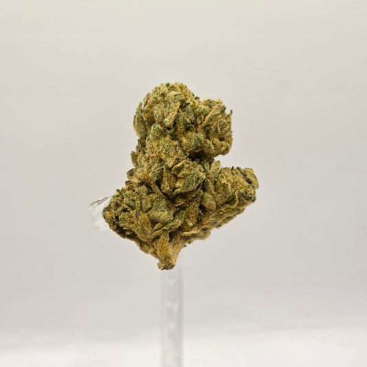 The Hemp Store Goji OG Budget Buds THCa Flower
