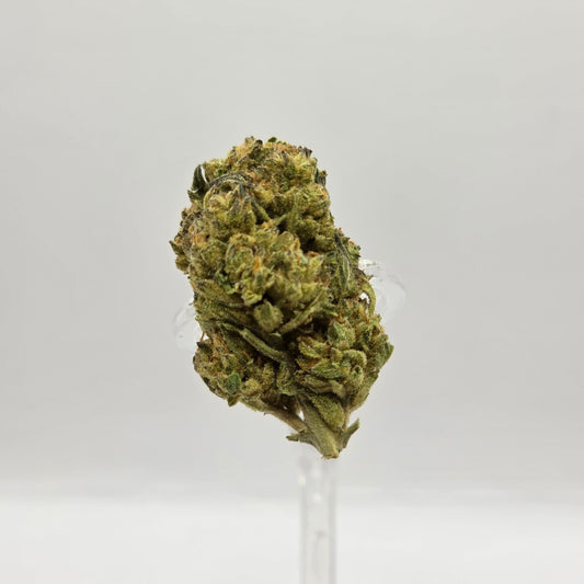 The Hemp Store Slurty Budget Buds THCa Flower