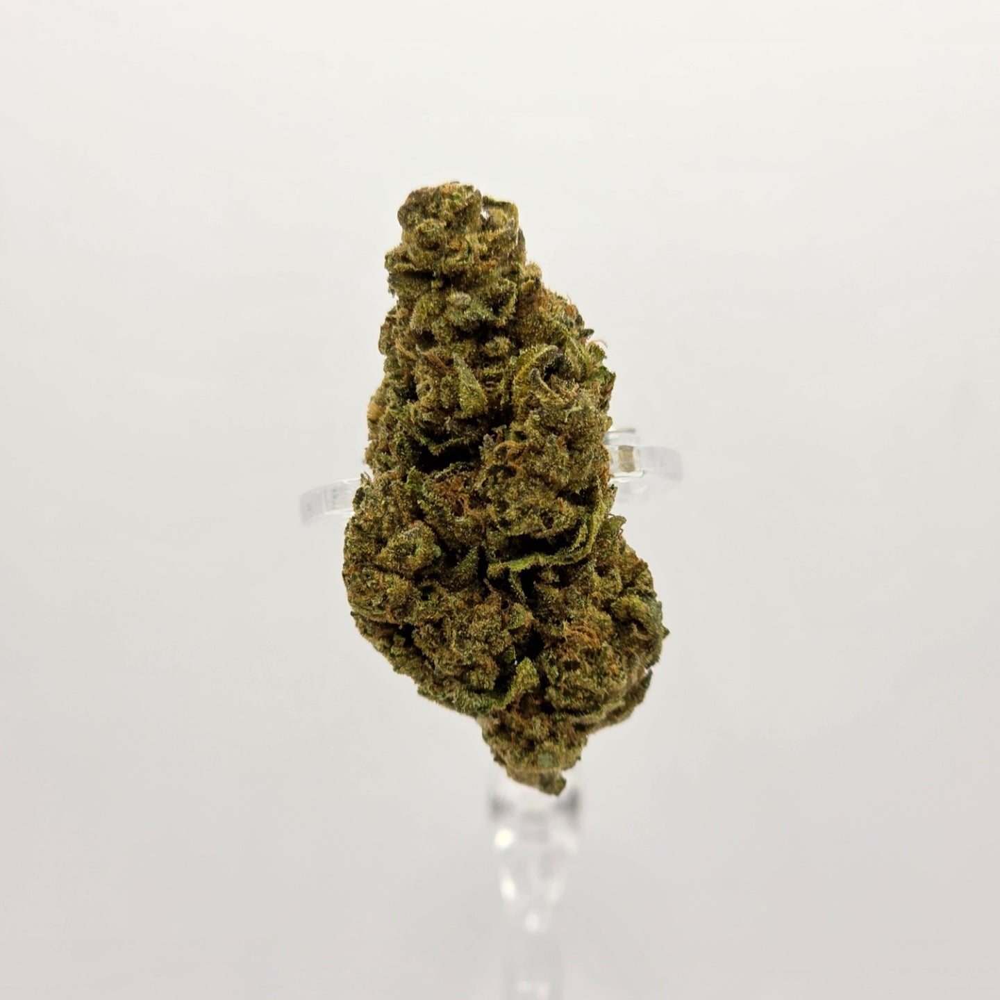 The Hemp Store Apple Fritter Budget Buds THCa Flower
