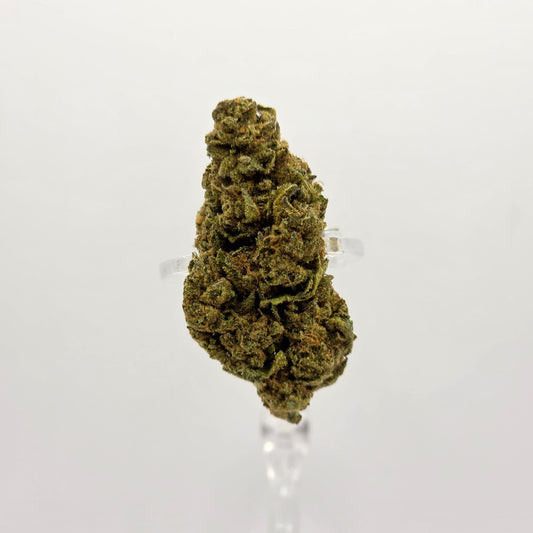 The Hemp Store Apple Fritter Budget Buds THCa Flower