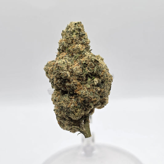 The Hemp Store Sherblato High THCa Flower