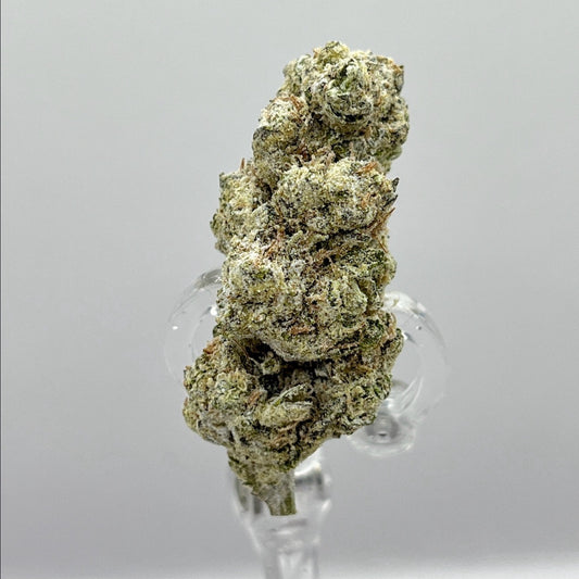 The Hemp Store Watermelon Zkittles Platinum THCa Flower