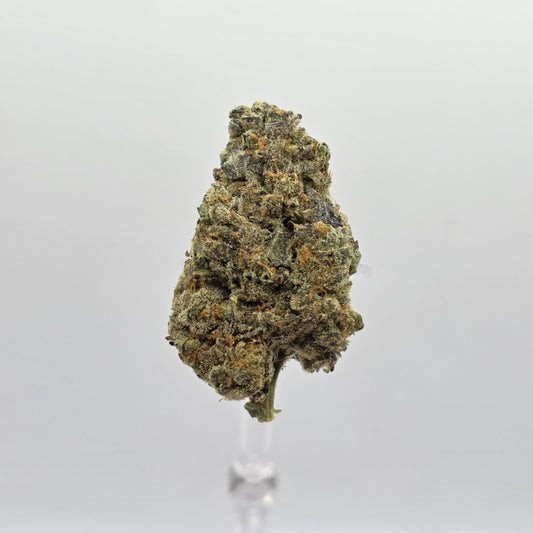 The Hemp Store Blue Dream Pie High THCa Flower