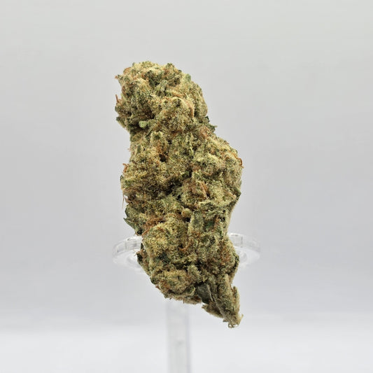 The Hemp Store Purple Punch High THCa Flower