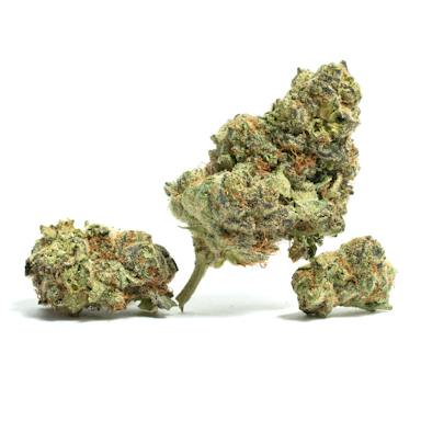The Hemp Store Lemon Skunk High THCa Flower