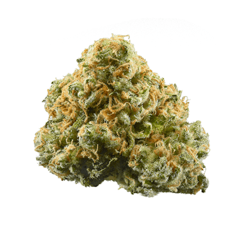 The Hemp Store White Chocolate Chip High THCa Flower