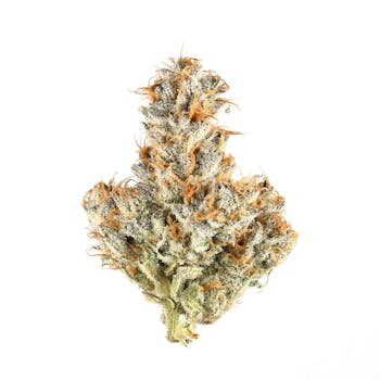The Hemp Store White Truffle THCa Flower